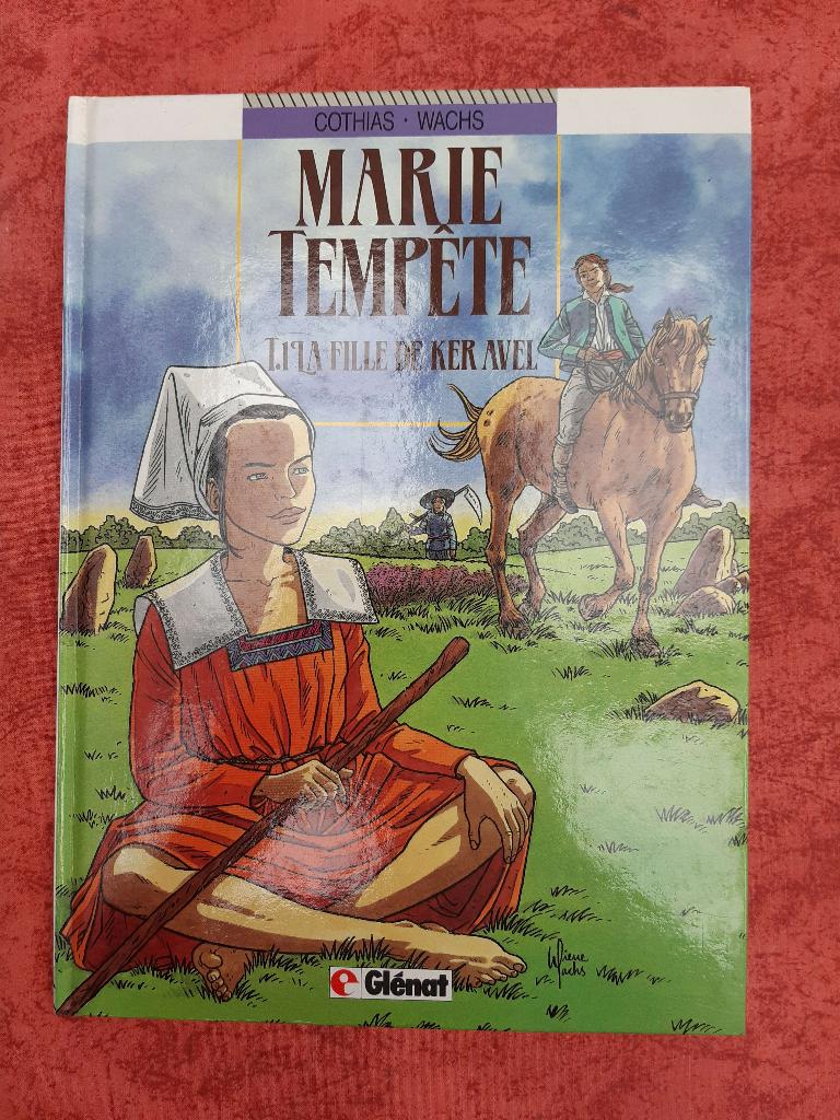 BD Marie Tempête, Enlèvement