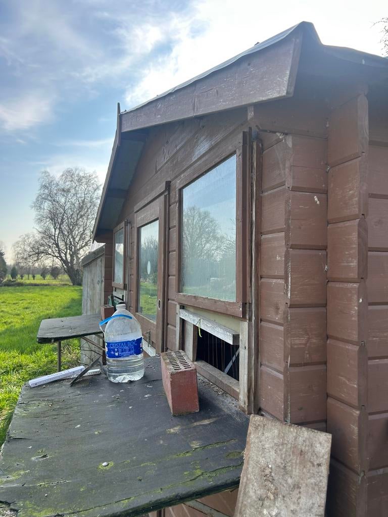 Duivenhok, Dieren en Toebehoren