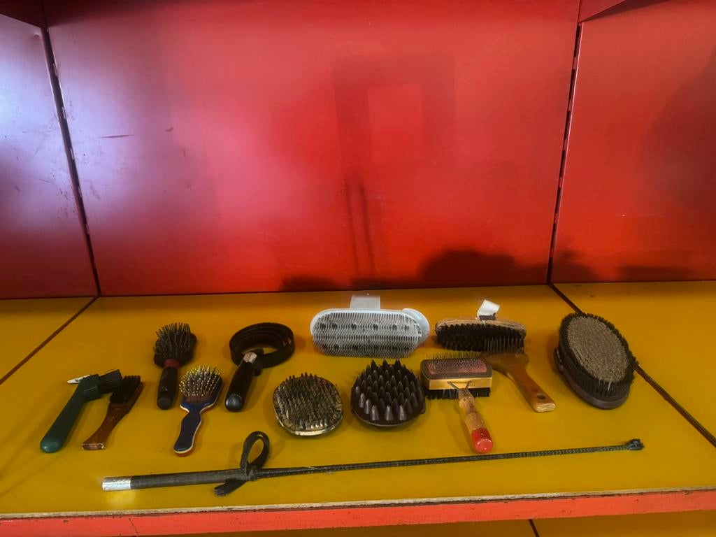 Laarzen en toebehoren, Dieren en Toebehoren, Ophalen, Gebruikt