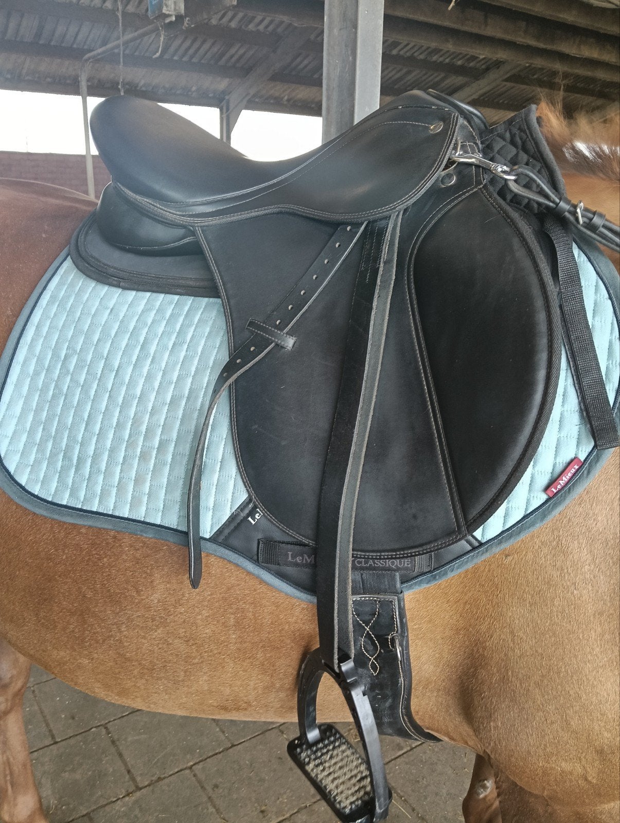 Selle polyvalente Harry Horse, Animaux & Accessoires, Chevaux & Poneys | Selles, Siège semi-creux, Polyvalence, L (17.5 pouces)