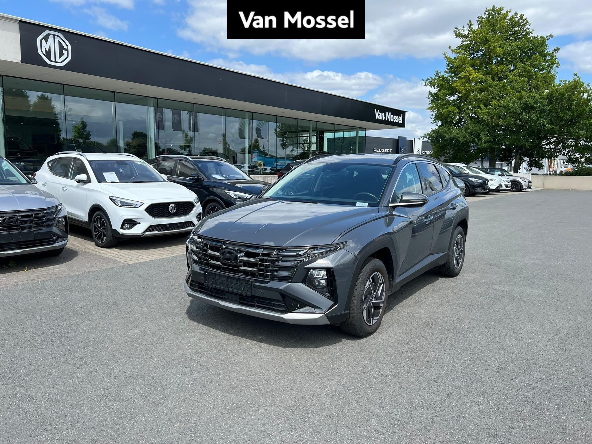 Hyundai Tucson 1.6 T-GDi Feel 7-DCT (automatique), Argent ou Gris, 110 kW, Entreprise, 5 portes