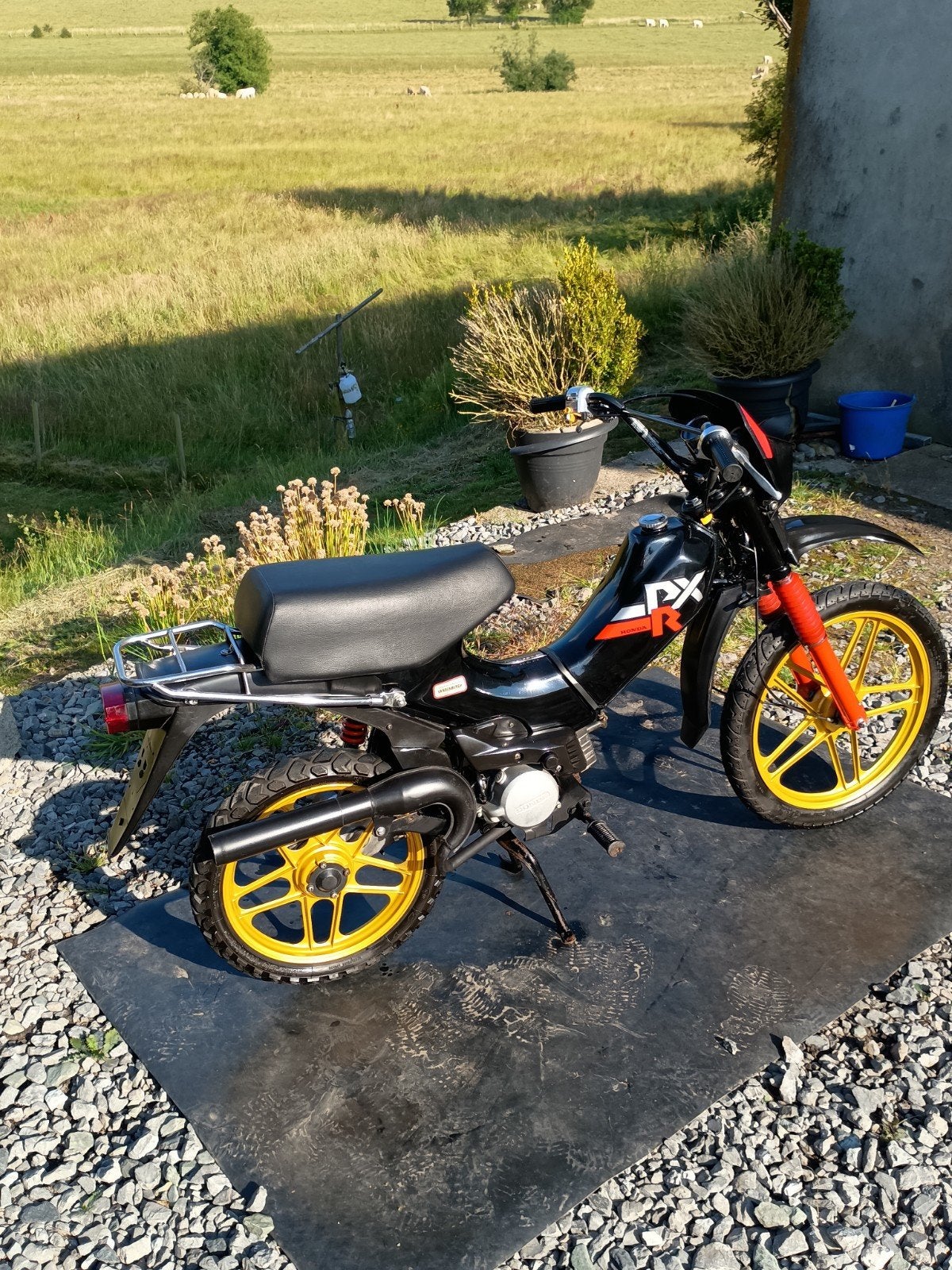 HONDA PXR bromfiets „1980" Klasse A (alle papieren), Fietsen en Brommers, Ophalen, Gebruikt, Overige modellen, Klasse A (25 km/u)