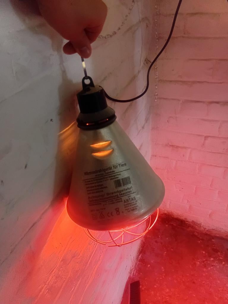 Lampe chauffante