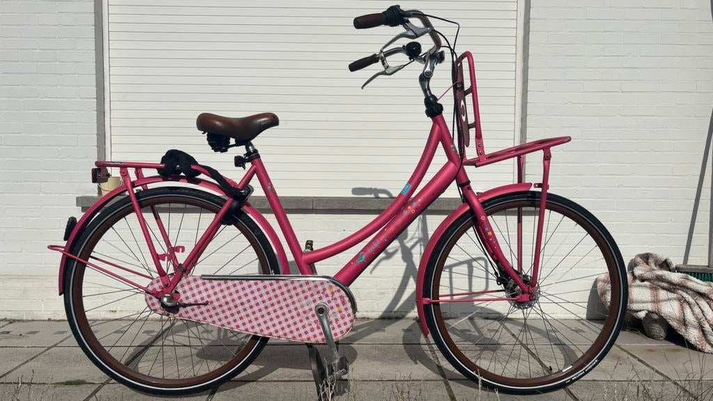 Te koop: Stadsfiets (Opknapper/Stationsfiets), 50 à 53 cm, Enlèvement, Utilisé, Vitesses