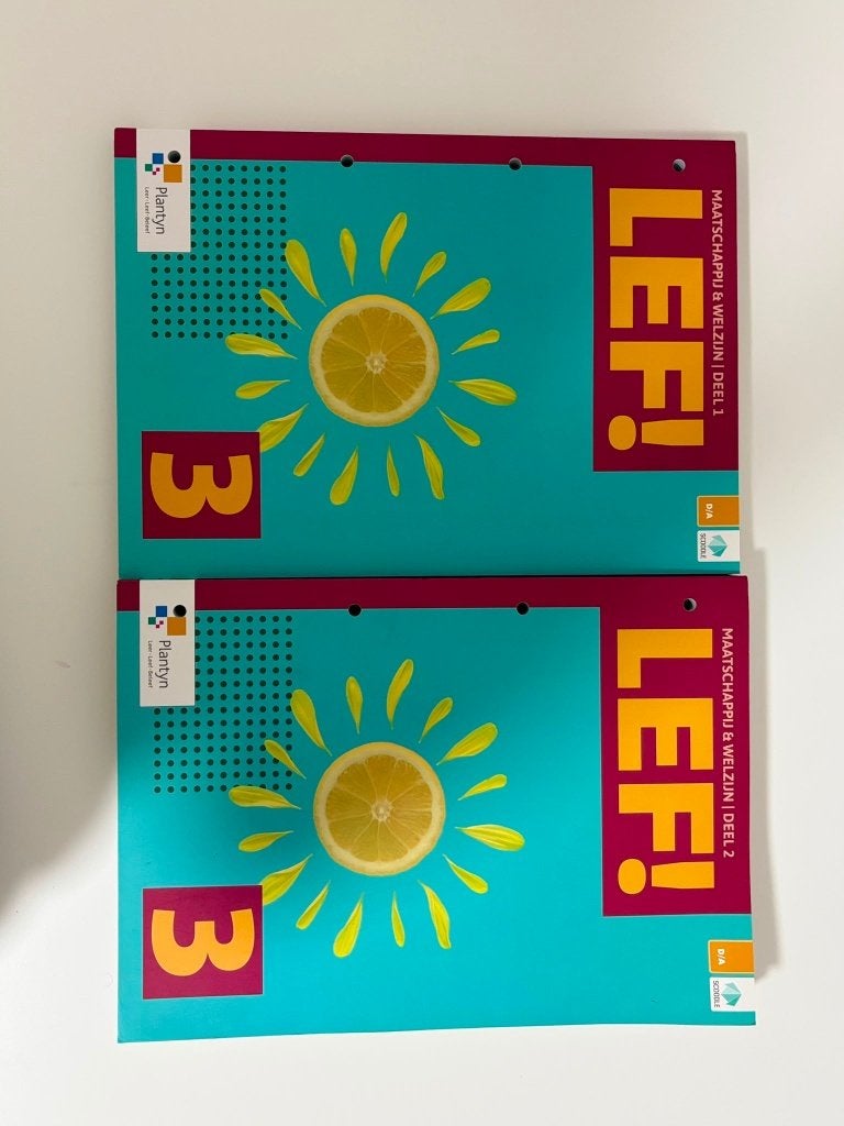 Schoolboek 3de jaar secundair LEF! Maatschappij en welzijn, Boeken, Schoolboeken, Ophalen, Plantyn, Zo goed als nieuw, Maatschappijleer
