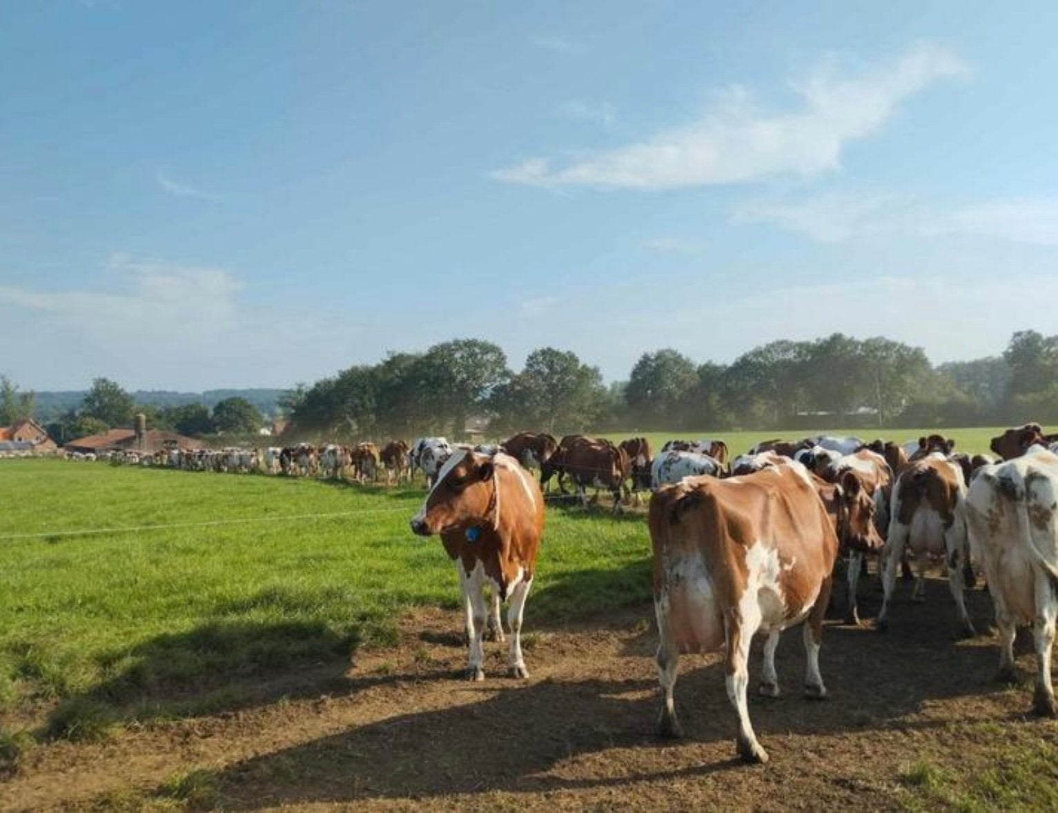 Bijverdienste werkhulp boerderij, Starter