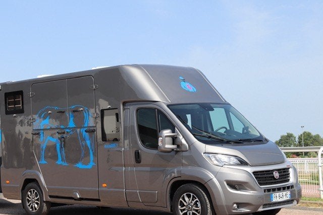 PAARDENCAMIONETTE FIAT, Autos, Achat, Entreprise, Automatique, Caméra de recul