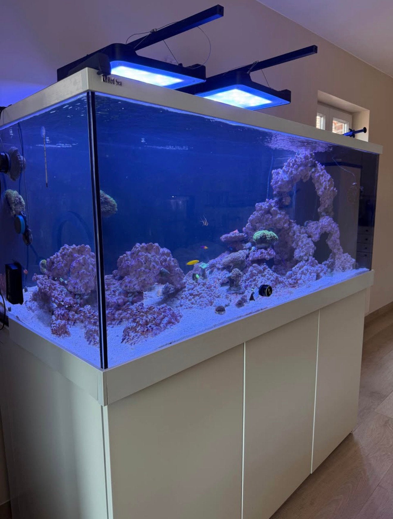 Aquarium te koop 850l, Enlèvement, Comme neuf