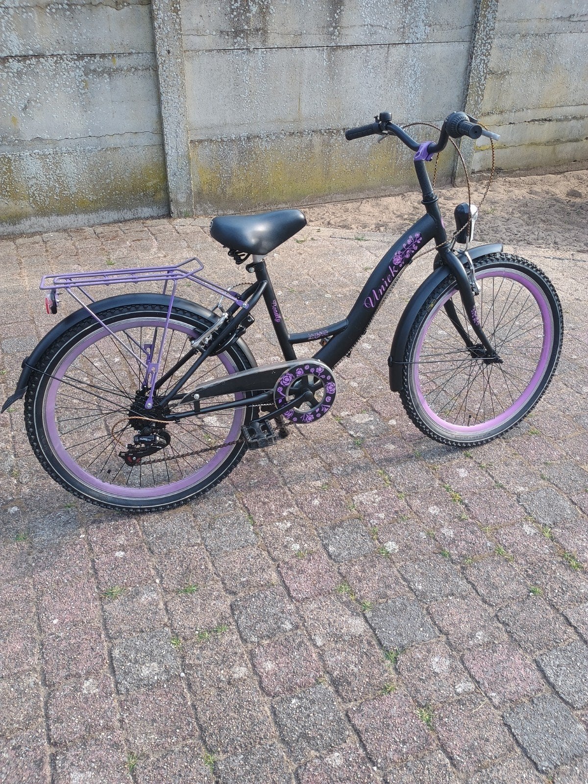 24 inch fiets, Ophalen, Velgrem, Versnellingen, Uniek