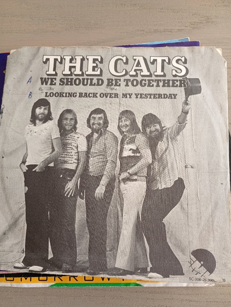 The Cats - We should be together, Enlèvement ou Envoi, Pochette photo, 7 inch, Utilisé