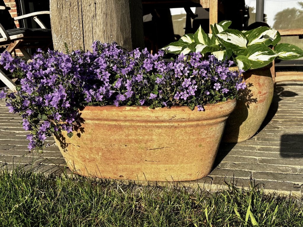Grote bloempot Italiaans terra-cotta ovaal, Tuin en Terras, Bloempotten, Ophalen, Gebruikt, Minder dan 40 cm, Overige vormen