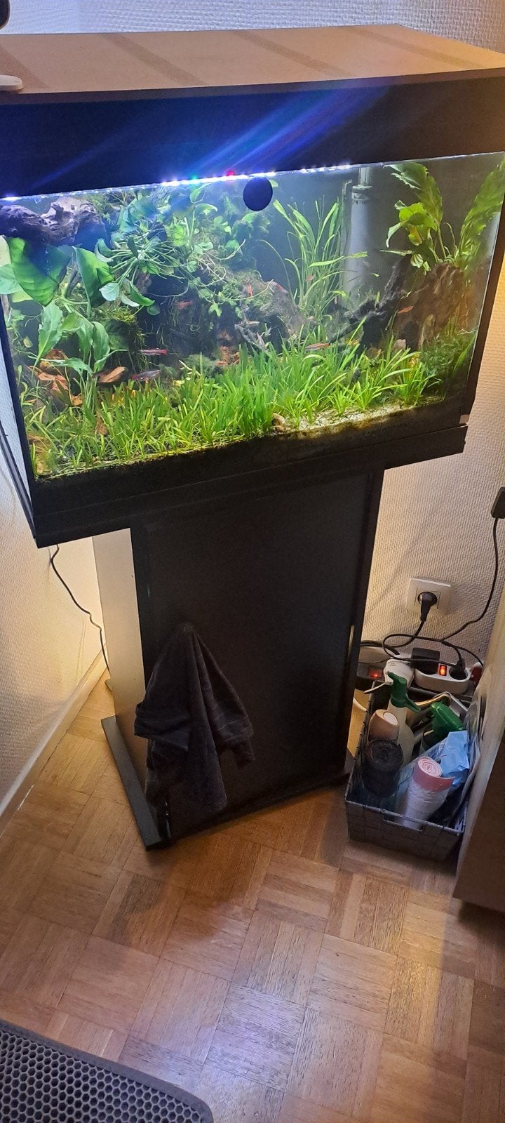 Juwel 60 aquarium + zwart meubel – volledig ingericht, Ophalen, Plant(en), Steen of Hout, Zo goed als nieuw, Inclusief controller