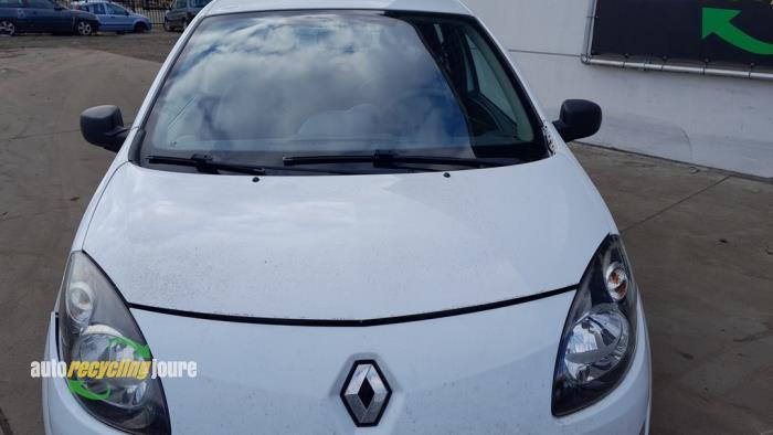 Capot d'un Renault Twingo (DV369), -, Renault, -, 3 mois de garantie
