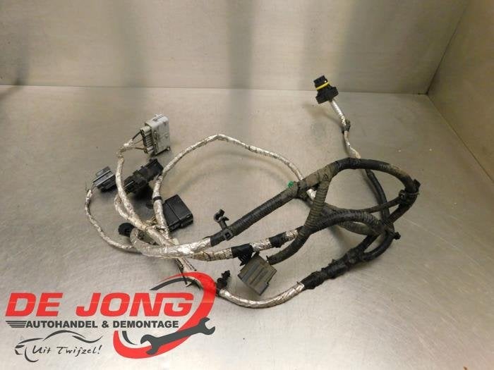 Faisceau de câbles d'un Landrover Range Rover Sport, Land Rover, -, 3 mois de garantie, Utilisé