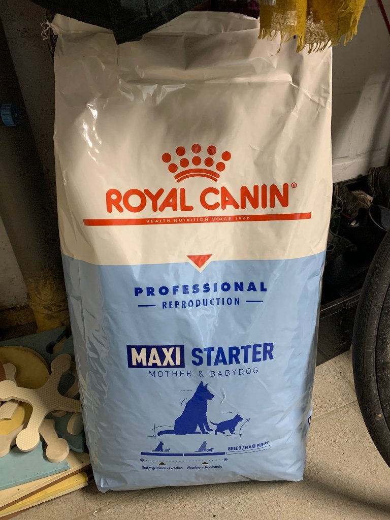 Royal canin, Animaux & Accessoires, Enlèvement, Chien