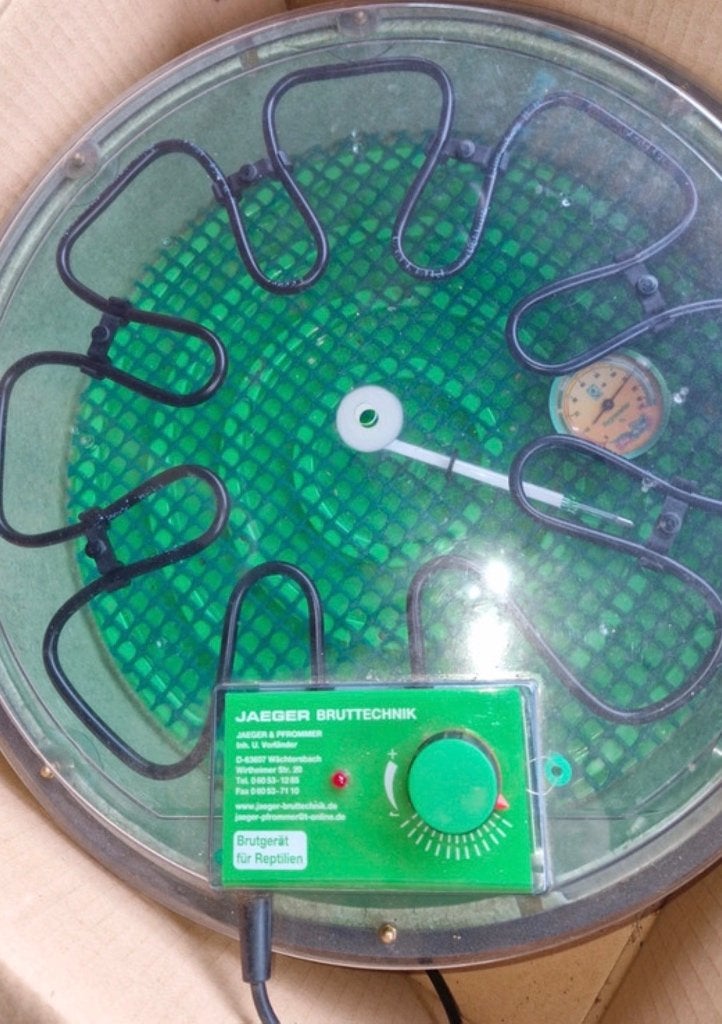 Jäger incubator, Ophalen of Verzenden, Zo goed als nieuw, Broedstoof of Broedmachine