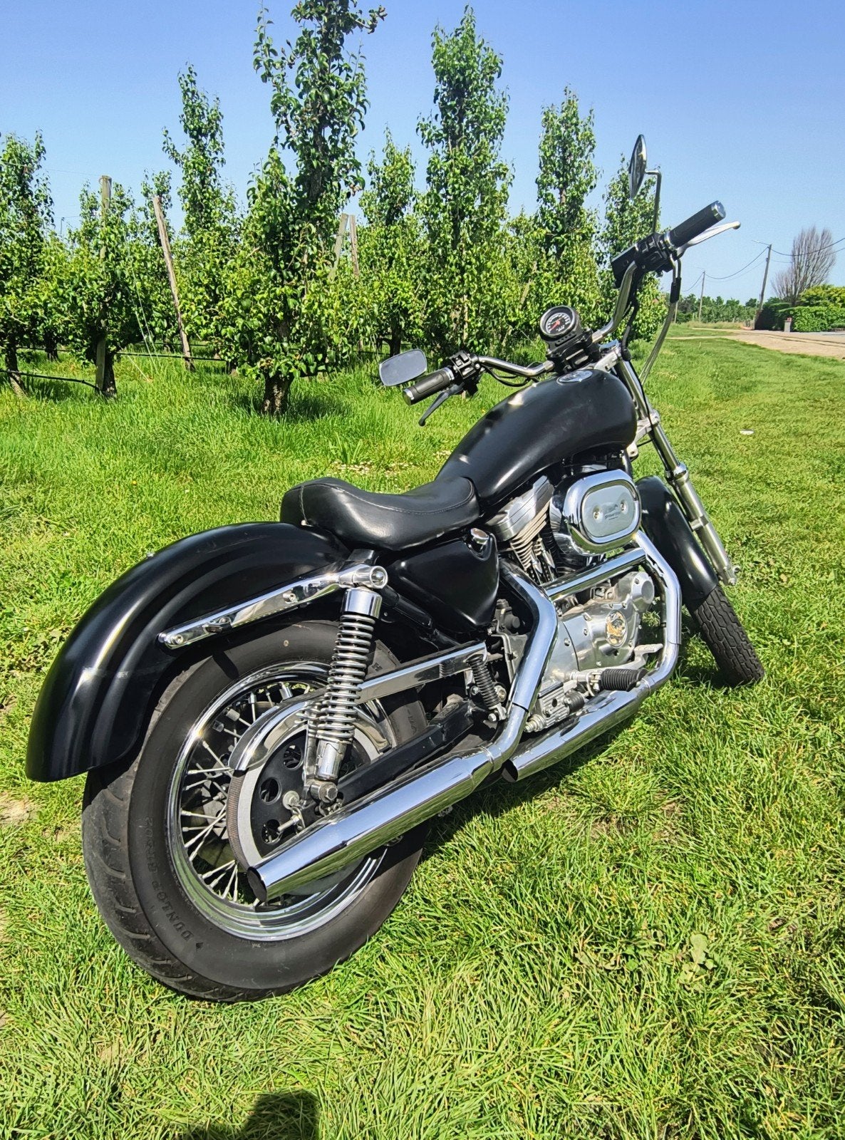 Harley XL883 sportster, Particulier, LED Verlichting