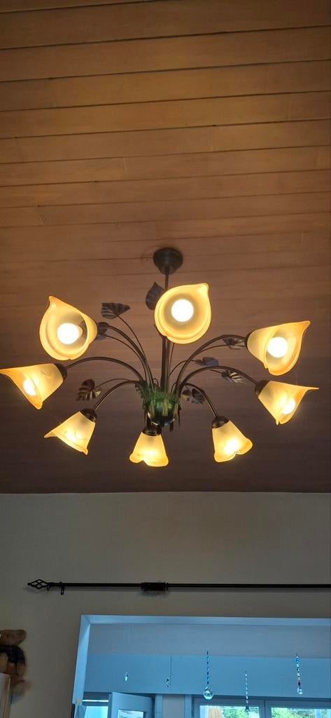 Mooie Luster, Huis en Inrichting, Lampen | Kroonluchters, Ophalen