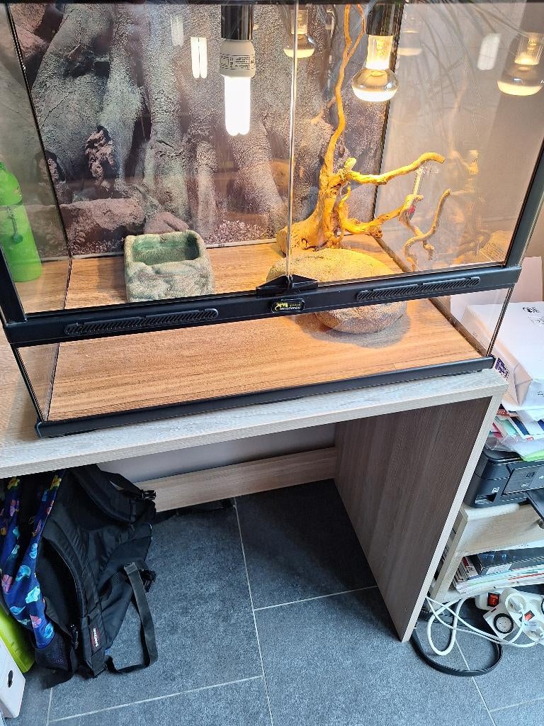 Terrarium, Animaux & Accessoires, Enlèvement, Comme neuf, Terrarium ou Paludarium