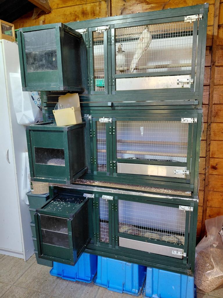 Cages box elevage perruches perroquets