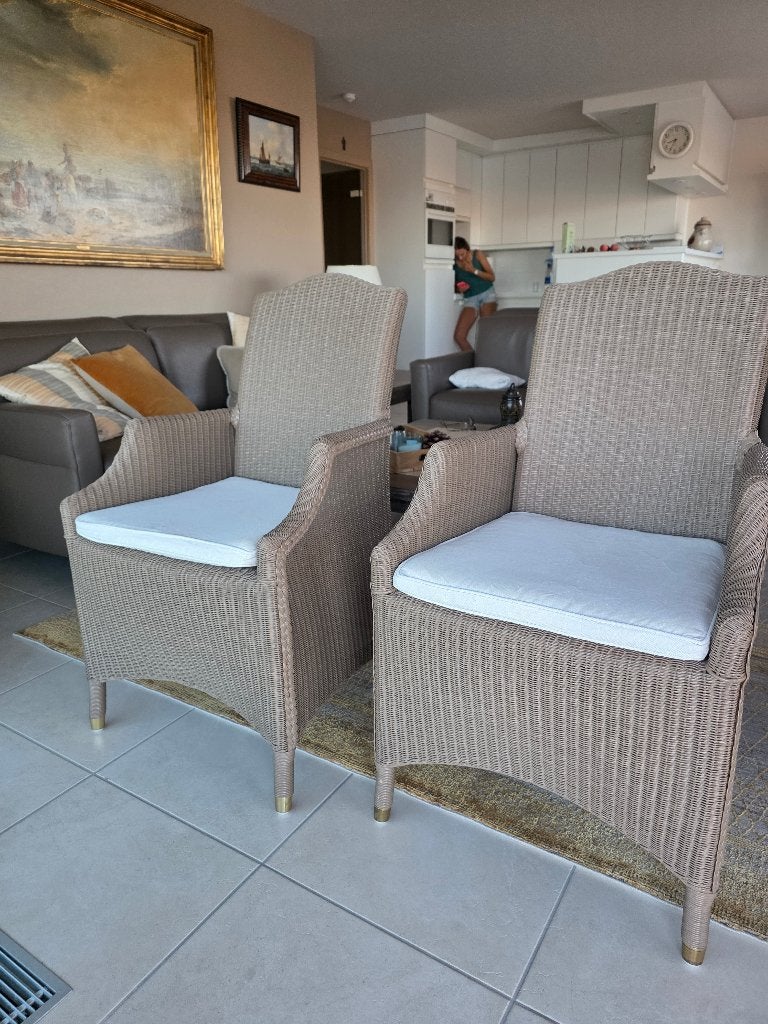 2 stoelen / zeteltjes Vincent Shepard, Huis en Inrichting, Ophalen, Gebruikt, Twee, Riet of Rotan