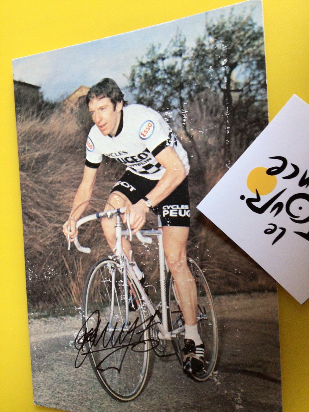 Wielerkaart team peugeot jose de cauwer signe, Verzenden, Gebruikt
