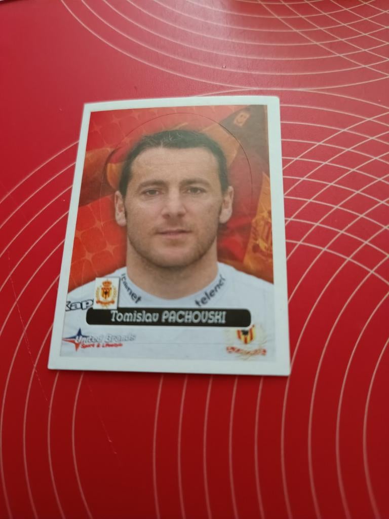 Tomislav Pachovski KV Mechelen Keeper 2013 Foot Panini, Hobby en Vrije tijd, Ophalen of Verzenden