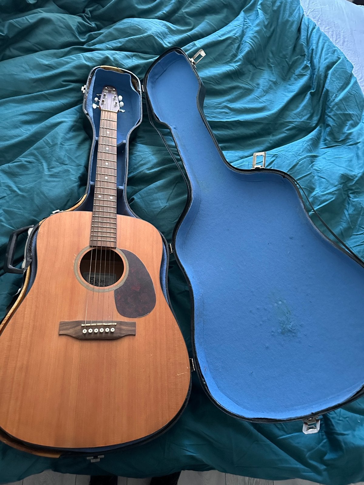 Akoestische Baton Rouge, Ophalen, Gebruikt, Klassieke of Spaanse gitaar, Met koffer
