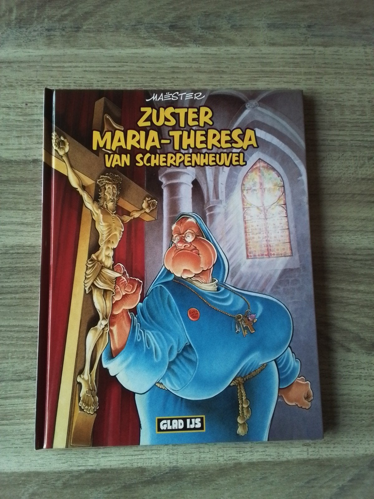 zuster Maria- theresa van scherpenheuvel hc, Boeken, Ophalen of Verzenden, Nieuw
