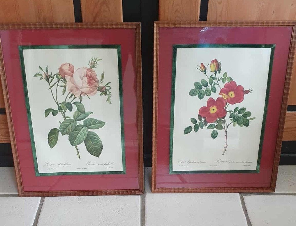 LITHO'S ROSIER P.J.REDOUTE GEDRUKT DOOR REMOND, Antiek en Kunst, Kunst | Tekeningen en Fotografie, Tekening, Achter glas, Ophalen