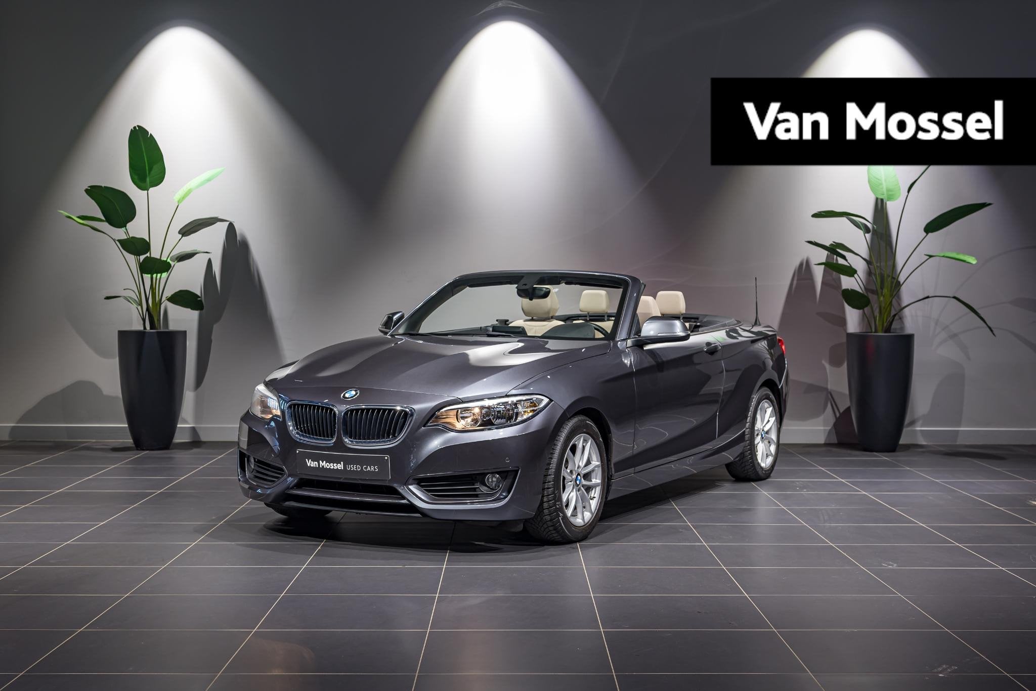 BMW 2-serie Cabrio 218i PDC | LEDER, Auto's, BMW, 4 zetels, Gebruikt, Euro 6, 124 g/km