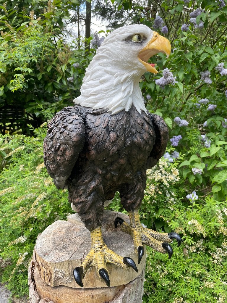 Grande statue d'aigle, pelouse, jardin, étang, zoo 55 cm, Enlèvement, Neuf, Synthétique, Animal