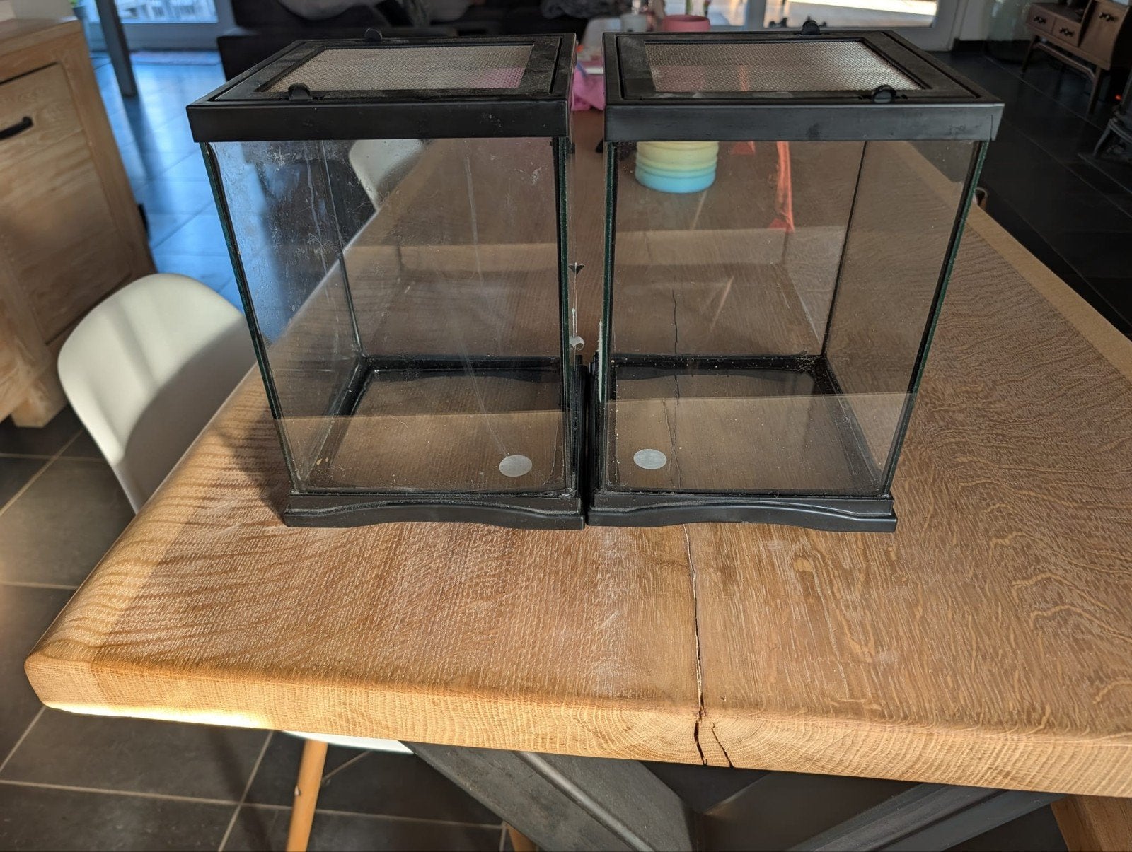 terrarium, Dieren en Toebehoren, Ophalen