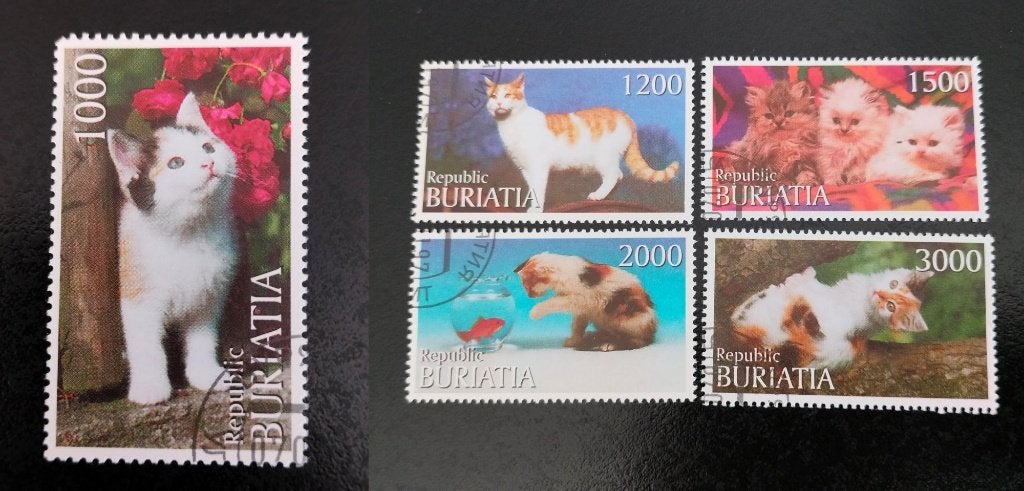 Buriatia 1997 - chats, Envoi, Affranchi