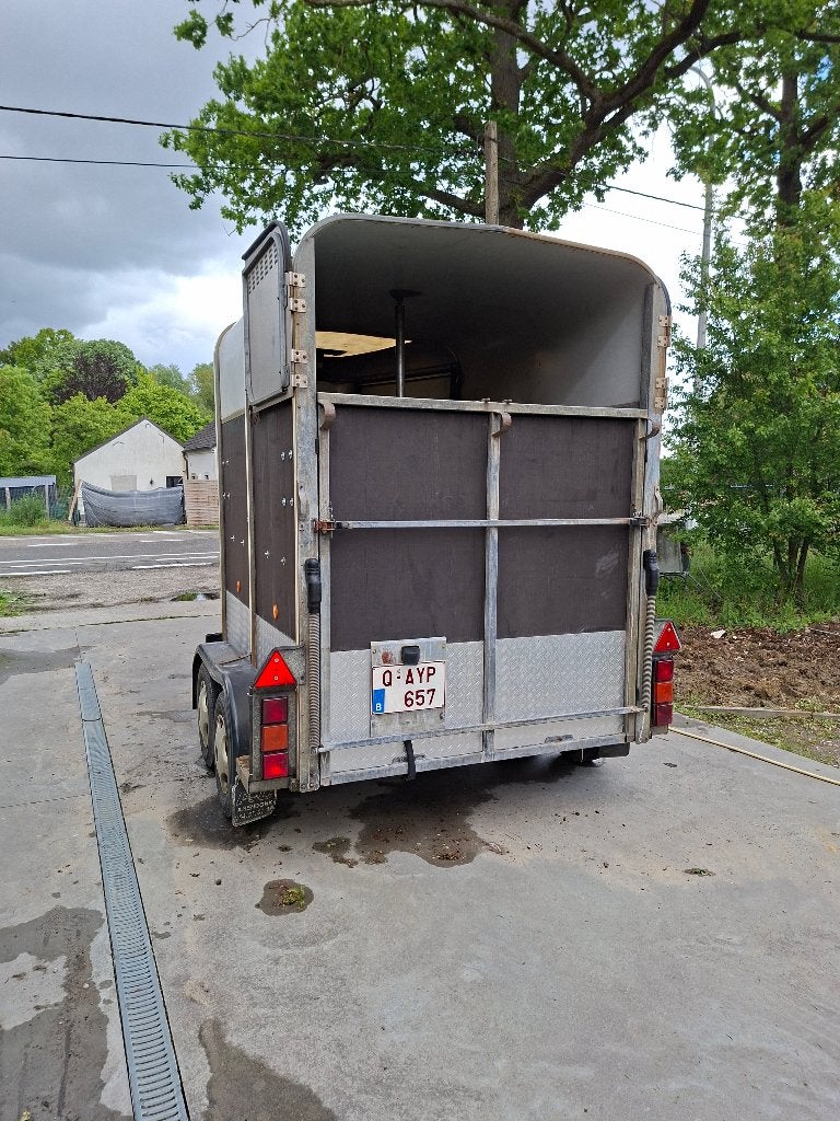 Ifor williams met garantie op het remsysteem, Ophalen, Gebruikt, 2-paards trailer