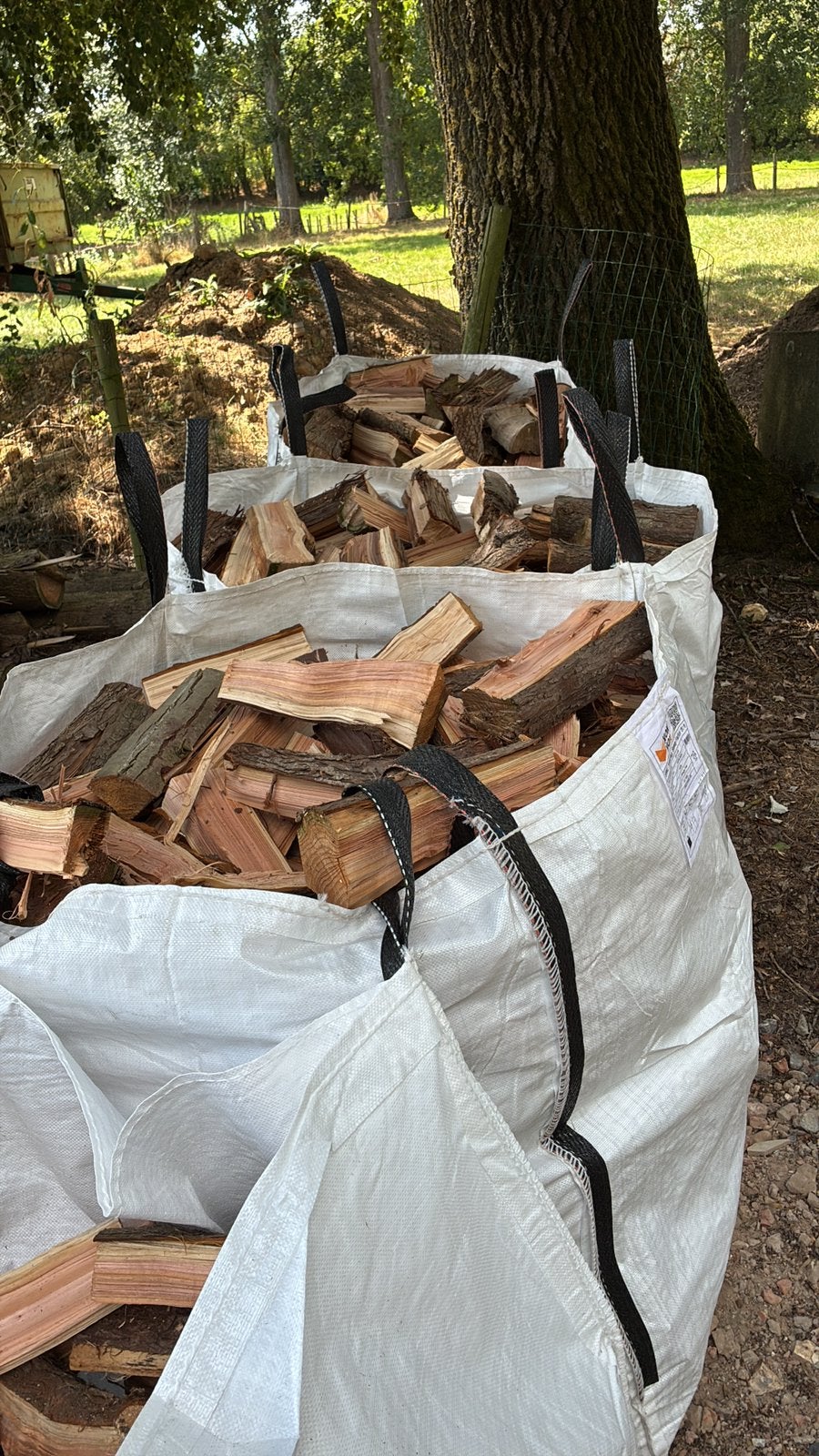 Brandhout te koop/halfdroog, Tuin en Terras, Brandhout, Ophalen, Overige houtsoorten, Blokken