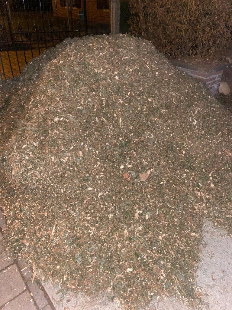 broyat gratuit, 3 à 6 m³, Enlèvement, Autres essences de bois, Branches
