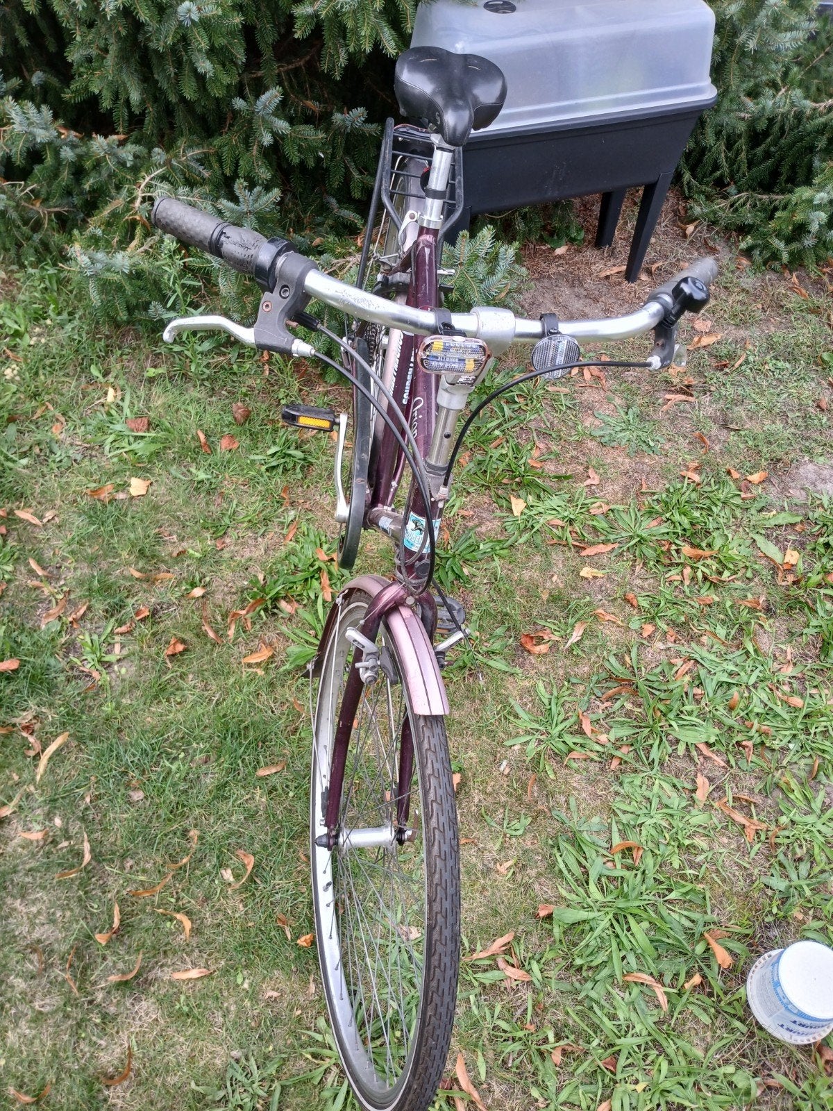 Vélo de sport Golden Lion Orion à 7 vitesses, Enlèvement, Vitesses