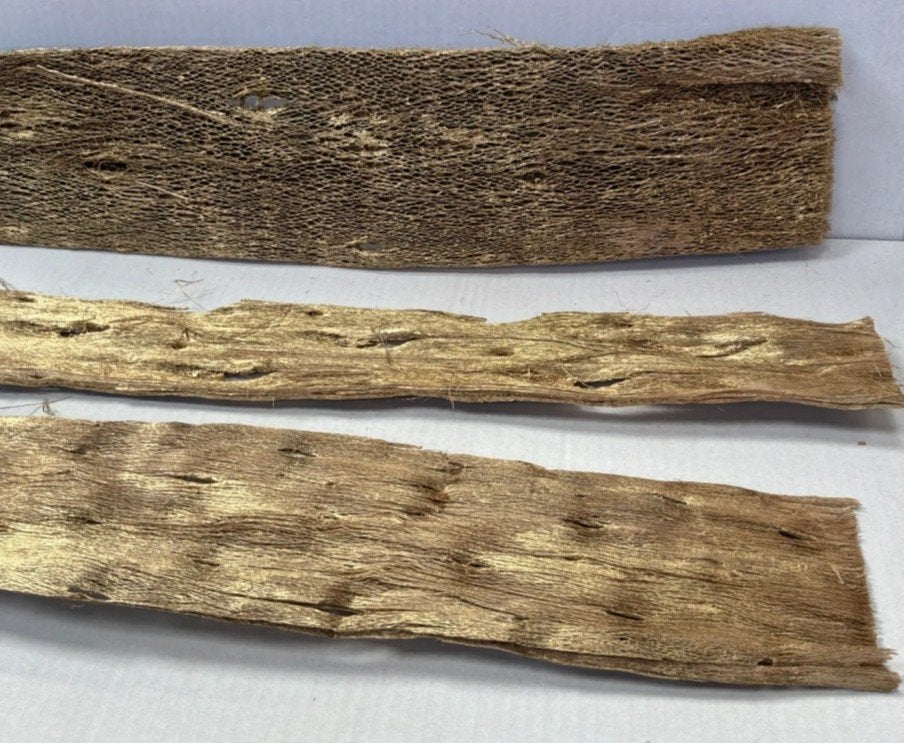 Feuilles d'écorce de papaye séchées, Enlèvement ou Envoi, Decoratie