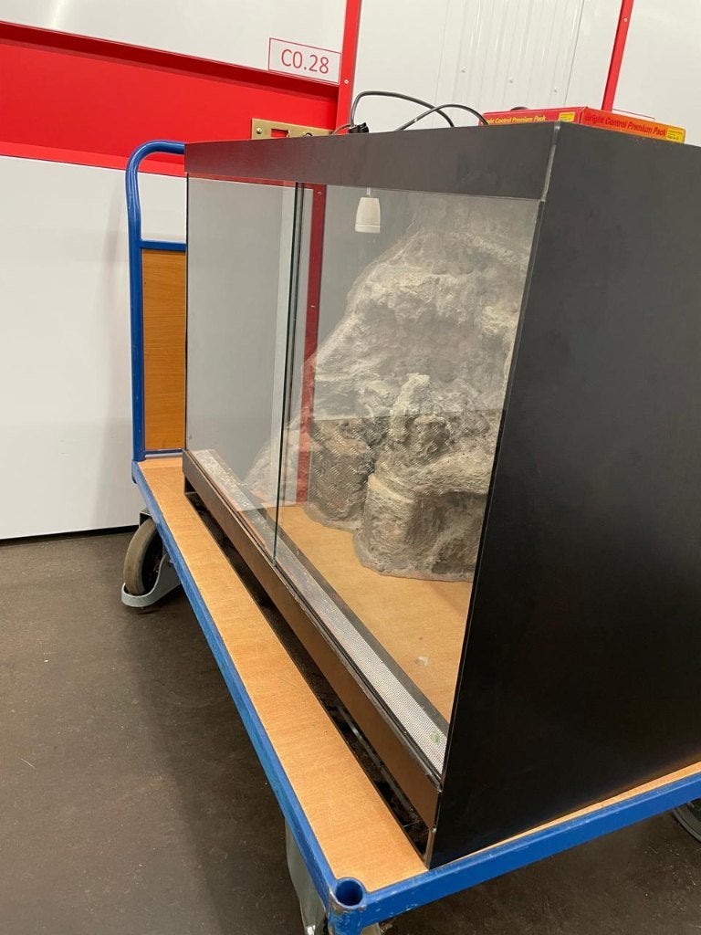 Terrarium, Dieren en Toebehoren, Ophalen, Zo goed als nieuw, Terrarium of Paludarium