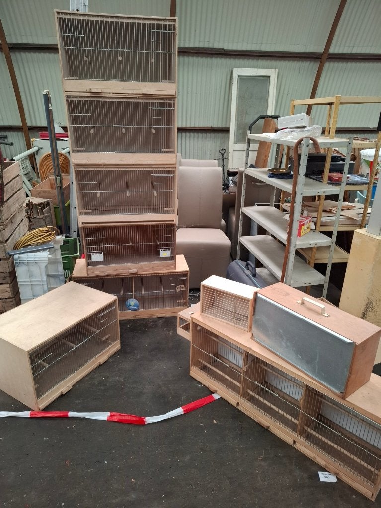houten kweekkooien, Dieren en Toebehoren, Ophalen, Nieuw