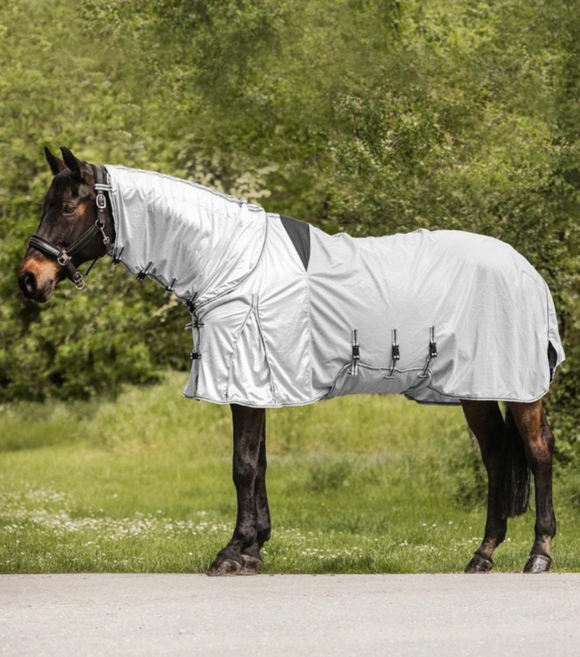 Couverture anti-eczéma Waldhausen Protect 165/215, Animaux & Accessoires, Chevaux & Poneys | Couvertures & Couvre-reins, Comme neuf