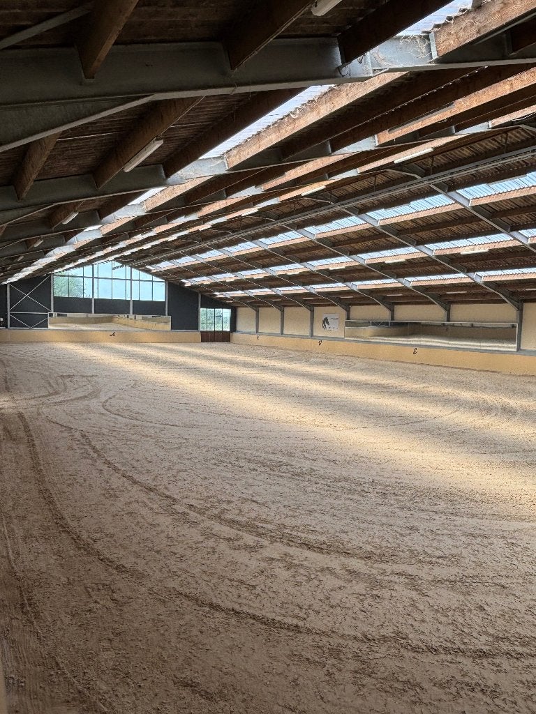 Zadelmak maken van je paard - Stal De Kluis, 1 cheval ou poney