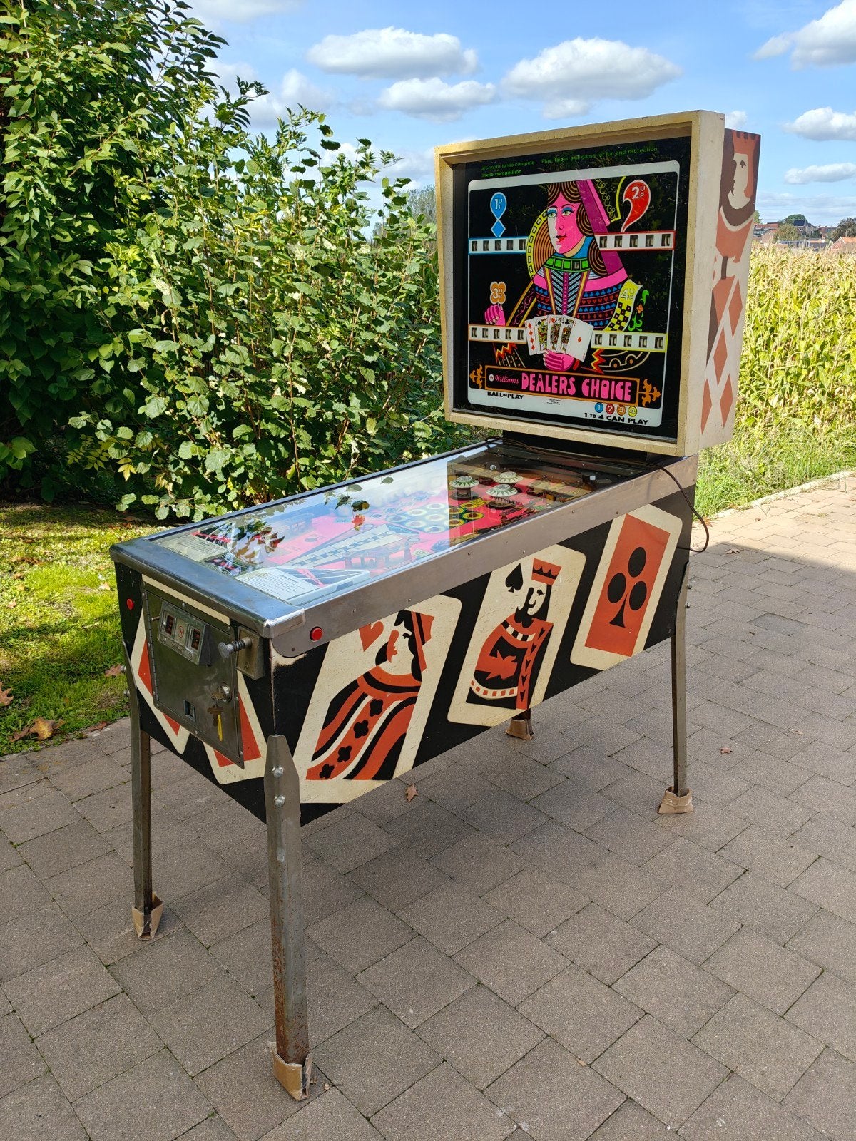 flipperkast Dealer's Choice, Ophalen, Flipperkast