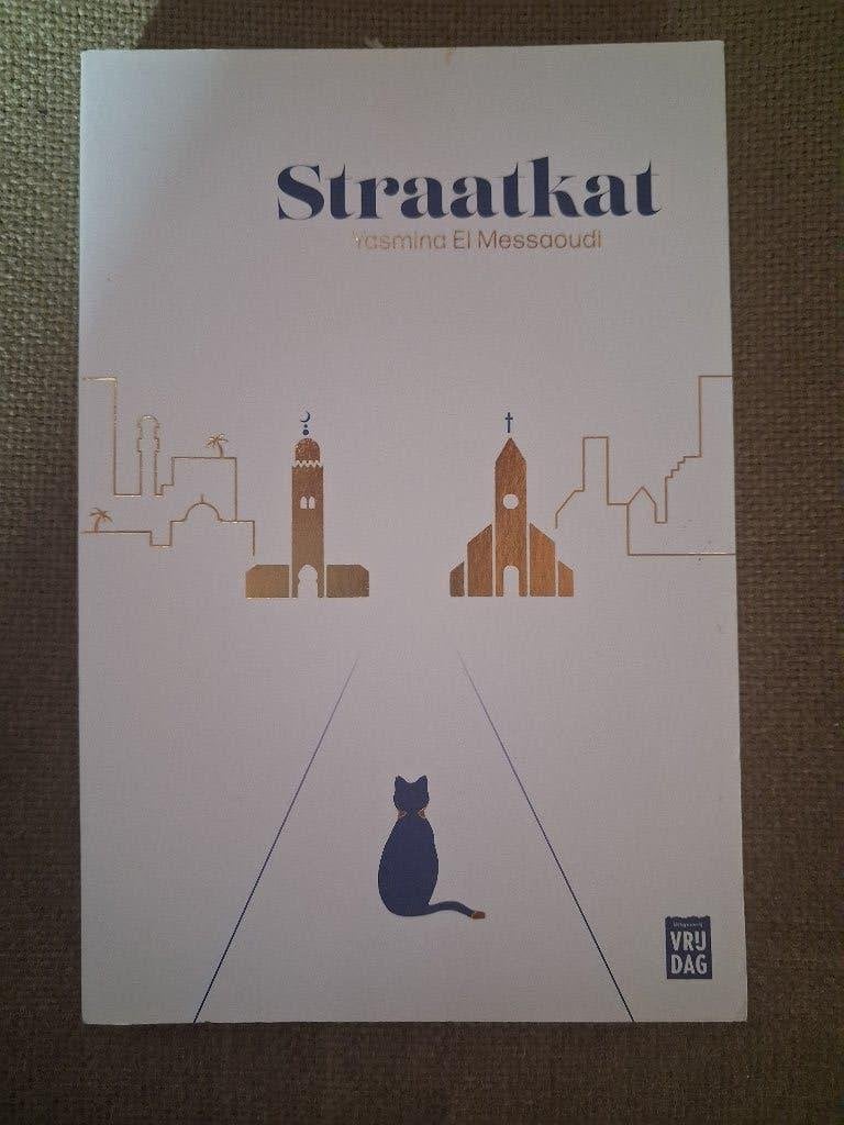 STRAATKAT - YASMINA EL MESSAOUDI - waargebeurd, Boeken, Ophalen of Verzenden, België