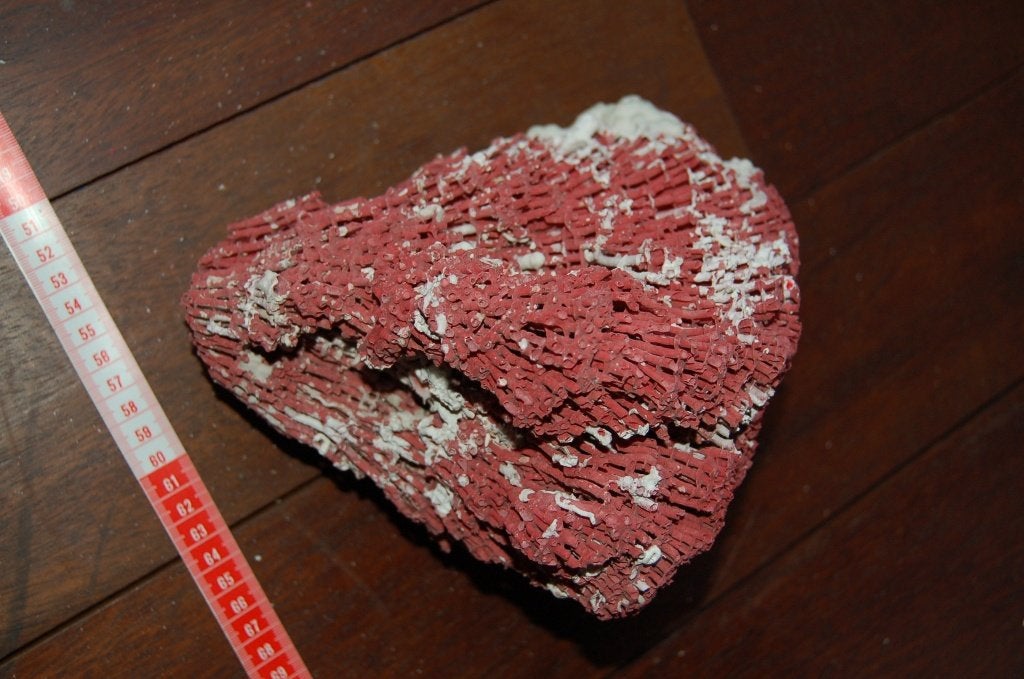 Koraal rood orgelpijp koraal, Verzamelen, Ophalen of Verzenden, Schelp(en)