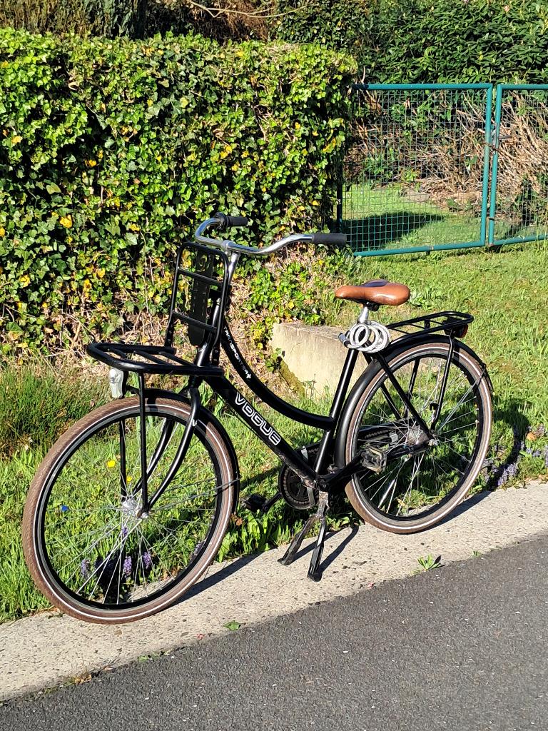 Vintage omafiets, Ophalen, Terugtraprem, Vogue, Versnellingen