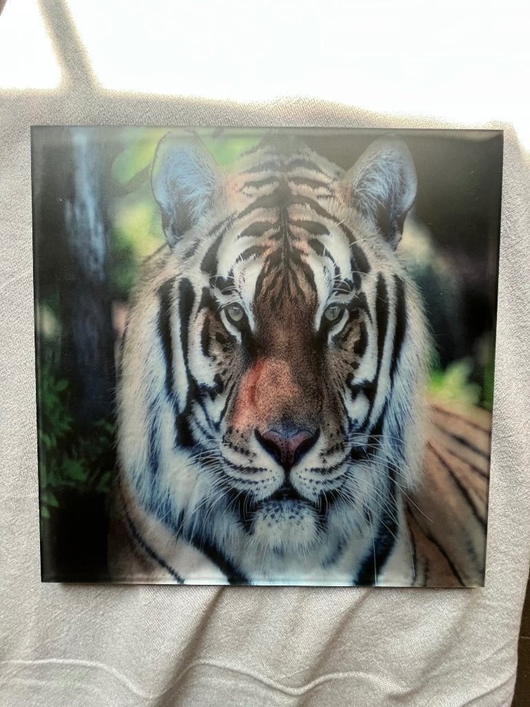 Carrelage en verre avec imprimé tigre, Enlèvement ou Envoi, Comme neuf, Imprimé, Moins de 50 cm