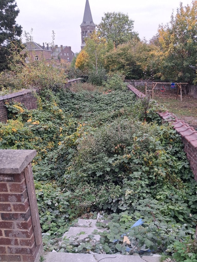 Jardinage debroussaillage, Enlèvement