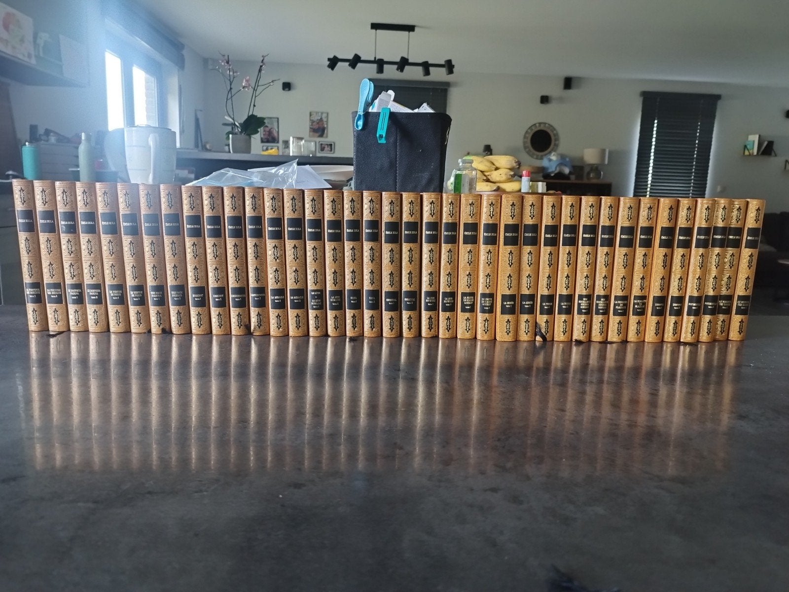 Collections d'Émile Zola, Livres, Littérature, Enlèvement, Comme neuf, Emile Zola, Belgique